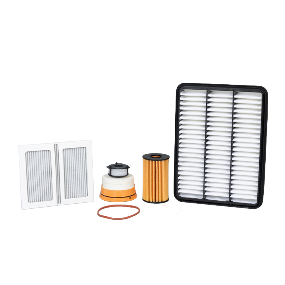 Filter Kit - Toyota Landcruiser 79 Series V8